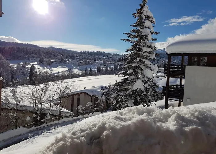 Panorama A23 Fitzi - Fuer 1-2 Personen Appartement Flims