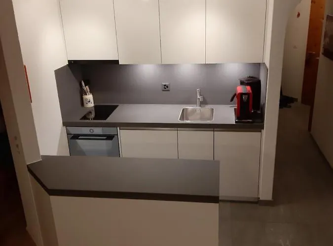 Panorama A23 Fitzi - Fuer 1-2 Personen Appartement Flims